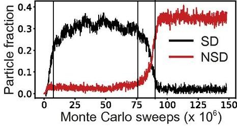 Plot of the motif fractions determined by Sangmin et al. over the simulation.